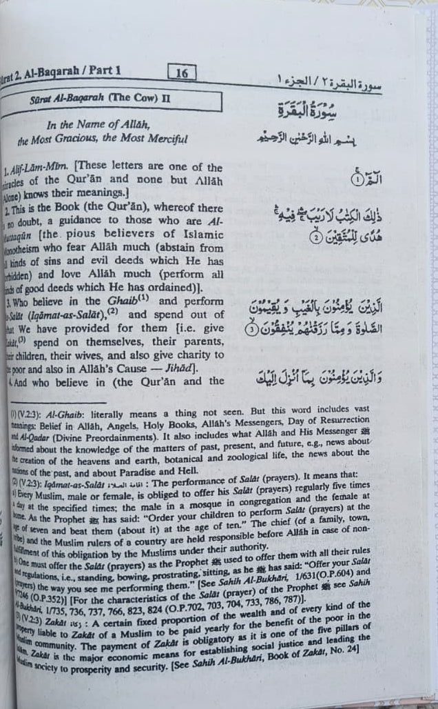 Interpretation of the Meanings of The Noble Quran (English)