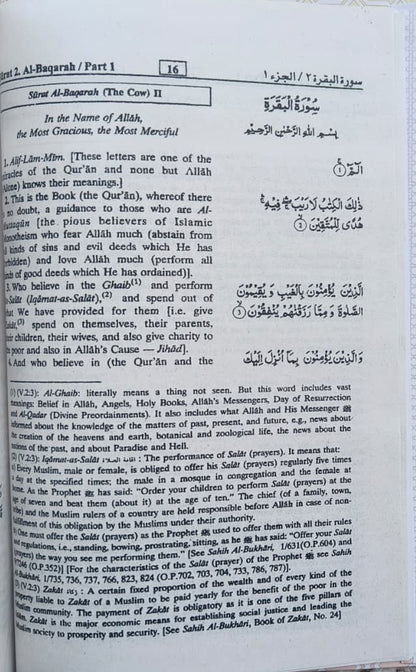 Interpretation of the Meanings of The Noble Quran (English)