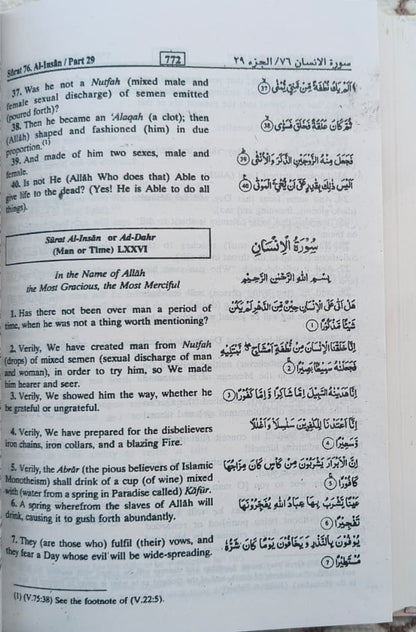 Interpretation of the Meanings of The Noble Quran (English)