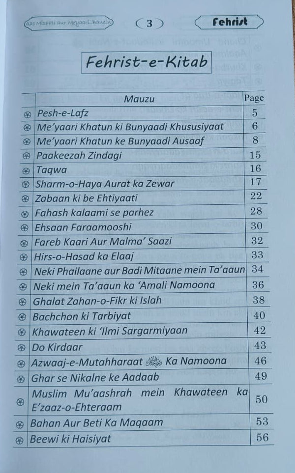 Aao Misali aur Meyaari Khatoon Banein(Roman Script) alifthebookstore