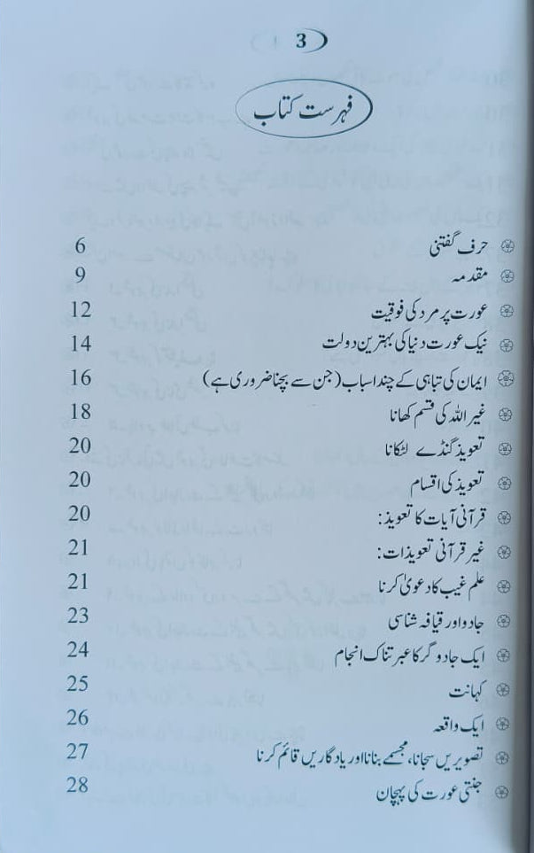 Jannati Aurat(Urdu) alifthebookstore