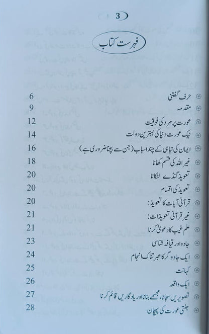 Jannati Aurat(Urdu) alifthebookstore
