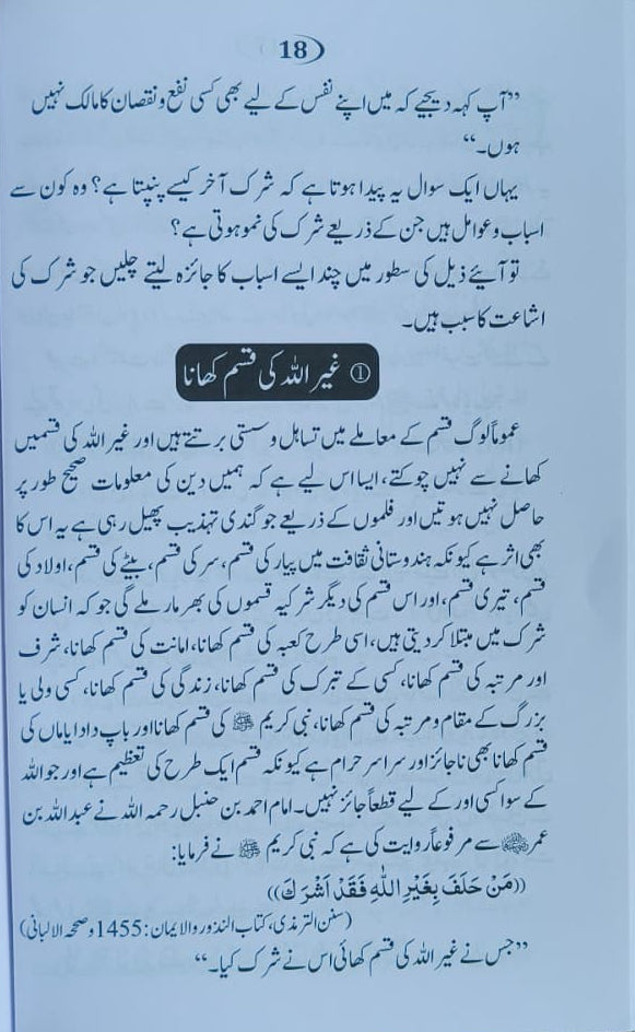 Jannati Aurat(Urdu) alifthebookstore