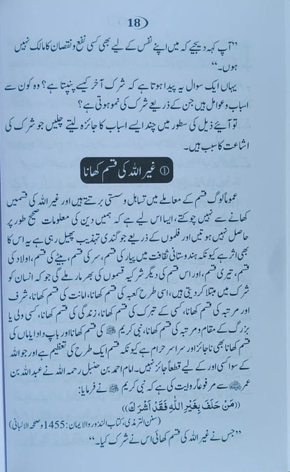 Jannati Aurat(Urdu) alifthebookstore