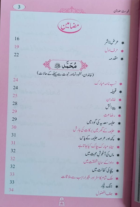 Tajaliyaat e Nabuwwat(Urdu) alifthebookstore