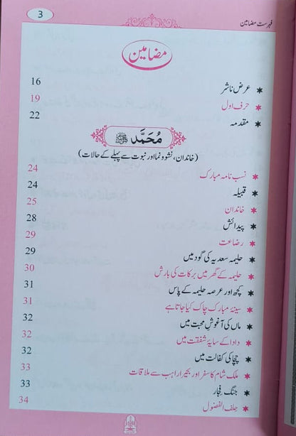 Tajaliyaat e Nabuwwat(Urdu) alifthebookstore