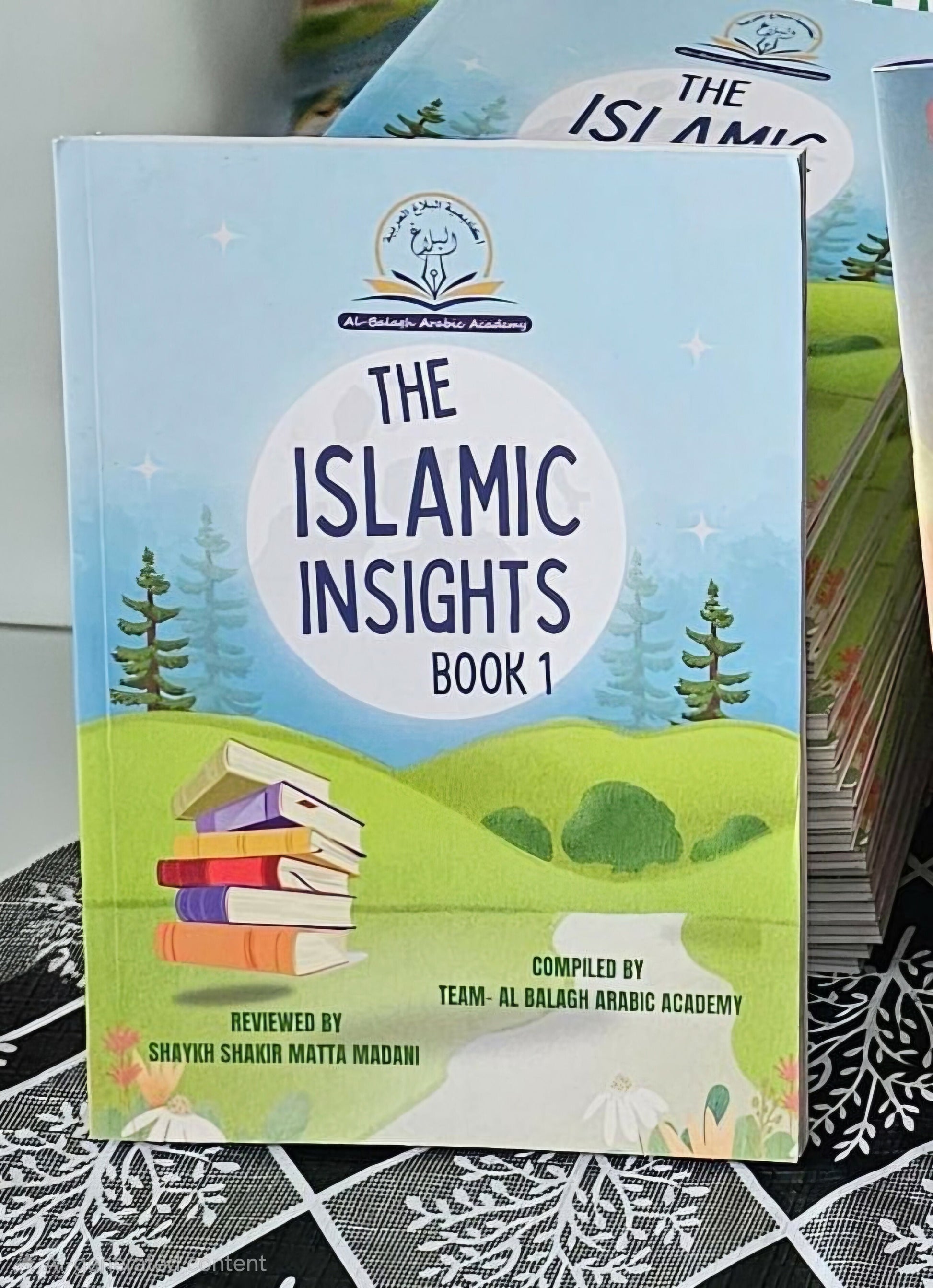 Islamic Insights book - 1 Al Balagh Store