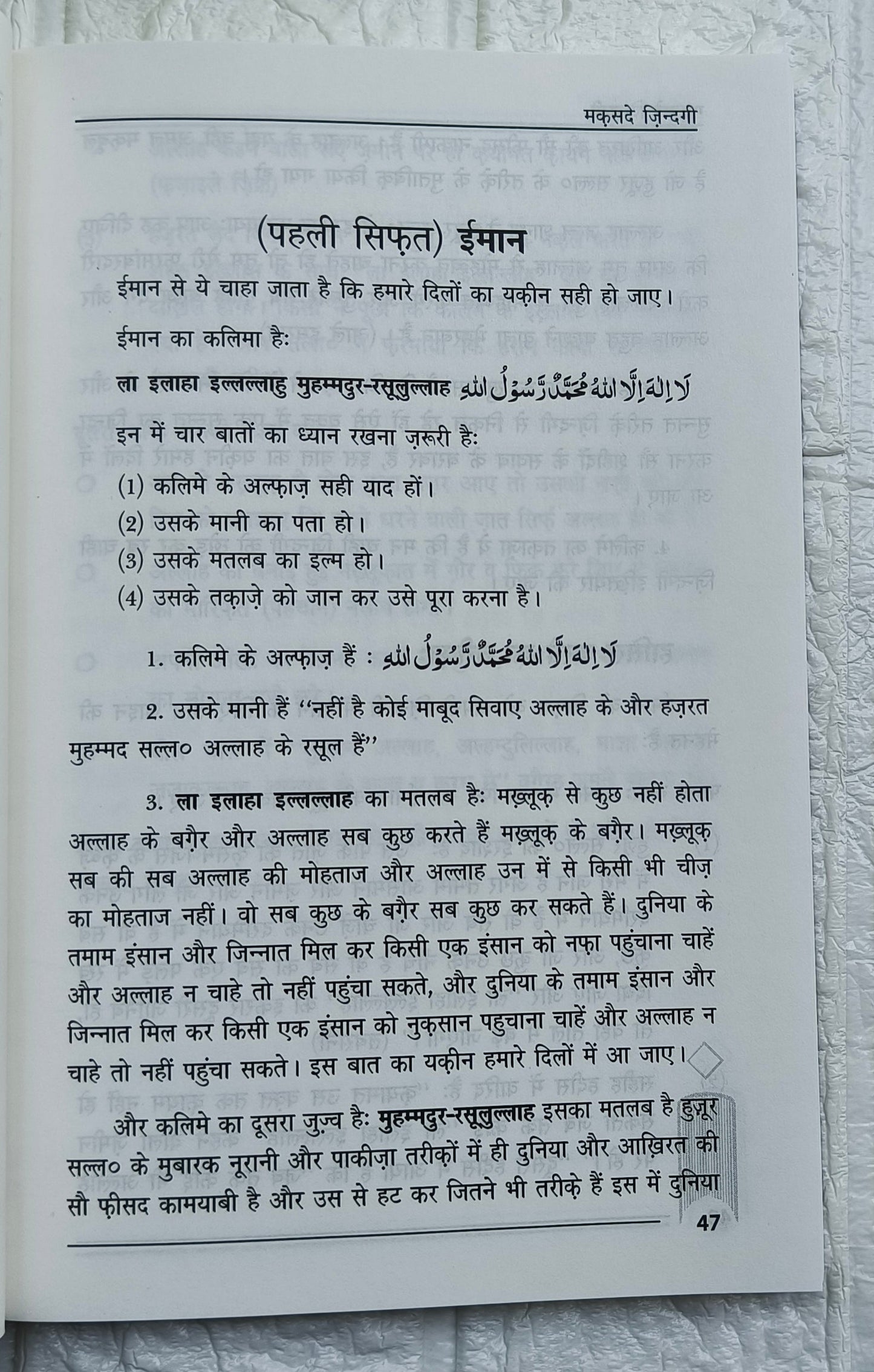 Maqsad-e-Zindagi(Hindi) alifthebookstore