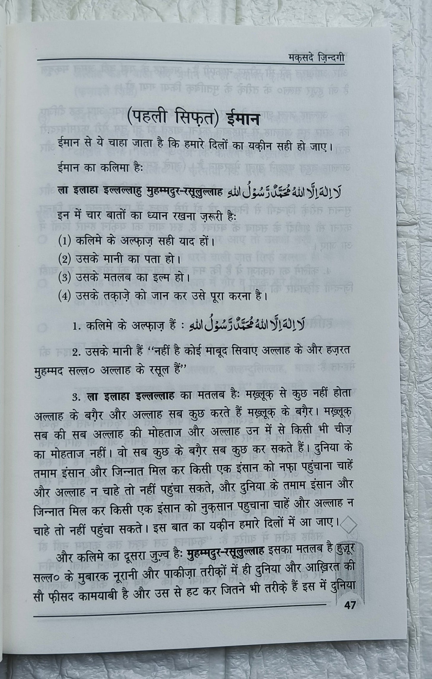 Maqsad-e-Zindagi(Hindi) alifthebookstore