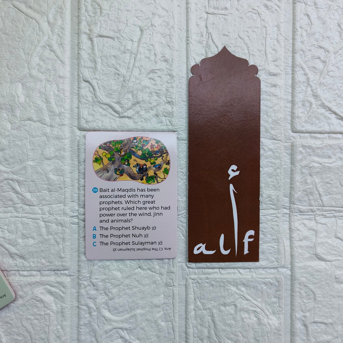 Lands of the Quran Quiz Cards alifthebookstore